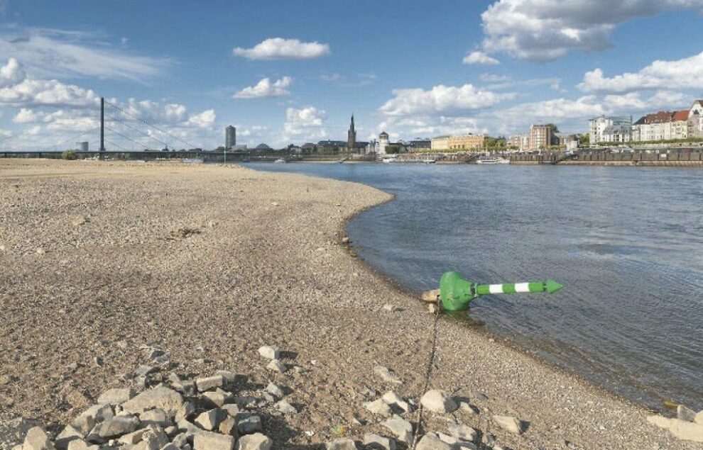 Symbolbild Wassermangel. Rhein bei Niedrigwasser, Höhe Düsseldorfer Altstadt