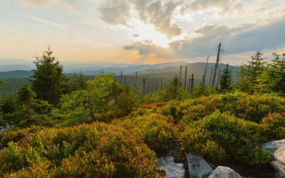 Auf dem Gipfel des Lusen, Nationalpark Bayerischer Wald