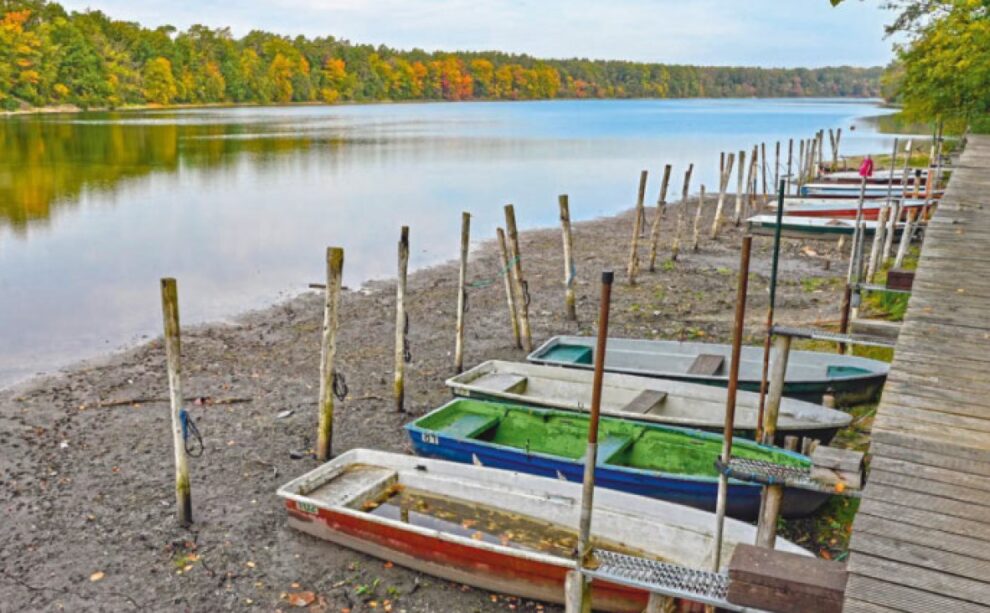 Straussee in Brandenburg bei Niedrigwasser