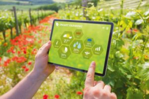 Tablet mit Smart-Farming-App