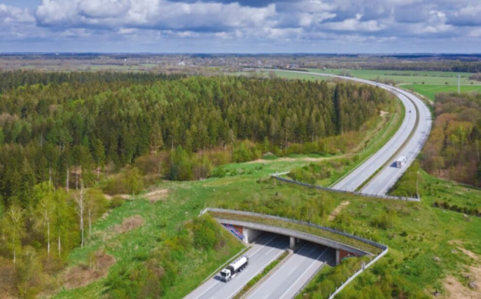 Luftaufnahme der Grünbrücke Kiebitzholm bei Bad Segeberg