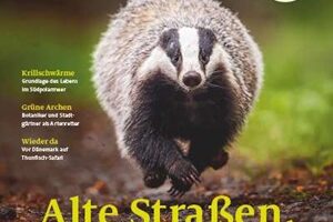 Cover natur 06/2024