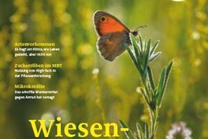 Cover natur 07/2024