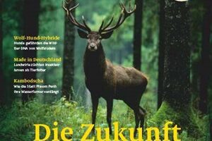 Cover natur 09/2024