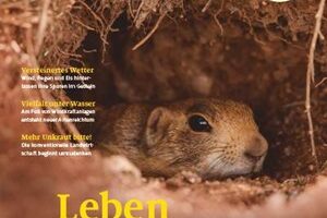 Cover natur 11/2024