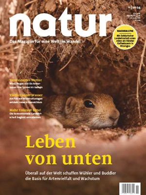 Cover natur 11/2024