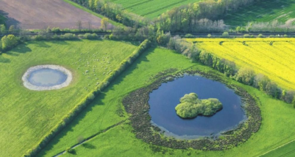 Symbolbild Landschaft